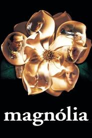 Assistir Magnólia online