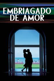 Assistir Embriagado de Amor online