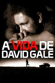 Assistir A Vida de David Gale online