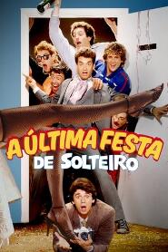 Assistir A Última Festa de Solteiro online