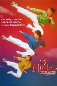 Assistir 3 Ninjas Contra-Atacam online