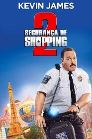 Assistir Segurança de Shopping 2 online