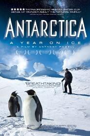 Assistir Antarctica: A Year on Ice online