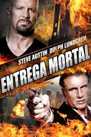 Assistir Entrega Mortal online