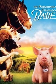 Assistir Babe, o Porquinho Atrapalhado online