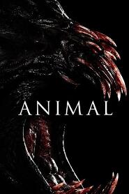 Assistir Animal online