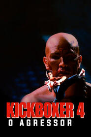 Assistir Kickboxer 4: O Agressor online