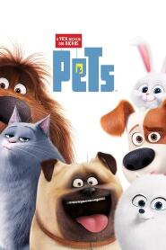 Assistir Pets: A Vida Secreta dos Bichos online