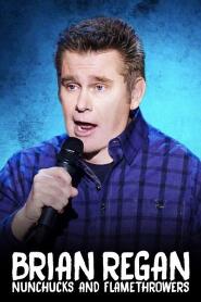 Assistir Brian Regan: Nunchucks and Flamethrowers online