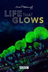 Assistir Attenborough's Life That Glows online