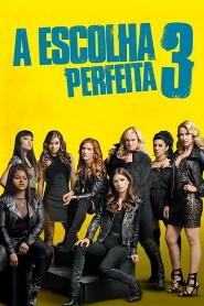 Assistir A Escolha Perfeita 3 online