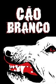 Assistir O Cão Branco online