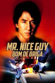 Assistir Mr. Nice Guy: Bom de Briga online