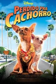 Assistir Perdido pra Cachorro online