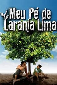 Assistir O Meu Pé de Laranja Lima online