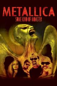 Assistir Metallica: Some Kind of Monster online