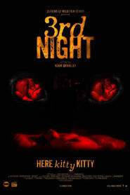 Assistir 3rd Night online