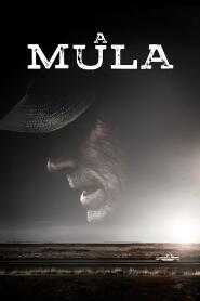 Assistir A Mula online