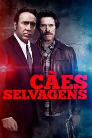 Assistir Cães Selvagens online