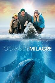 Assistir O Grande Milagre online