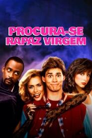 Assistir Procura-se Rapaz Virgem online