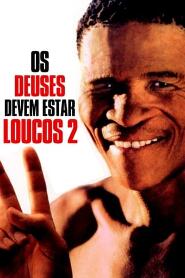 Assistir Os Deuses Devem Estar Loucos 2 online