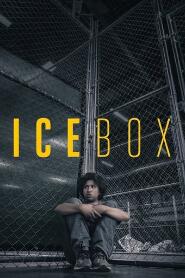 Assistir Icebox online