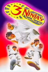 Assistir 3 Ninjas em Apuros online