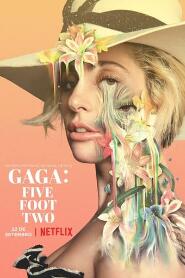 Assistir Gaga: Five Foot Two online