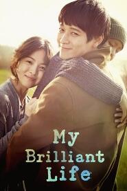 Assistir My Brilliant Life online