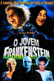 Assistir O Jovem Frankenstein online