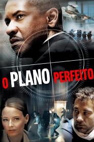 Assistir O Plano Perfeito online