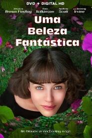 Assistir Uma Beleza Fantástica online