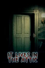 Assistir It Lives in the Attic online