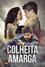 Assistir Colheita Amarga online