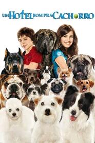 Assistir Um Hotel Bom Pra Cachorro online