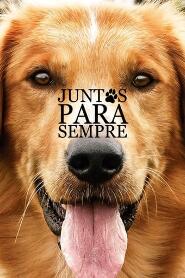 Assistir Quatro Vidas de um Cachorro online