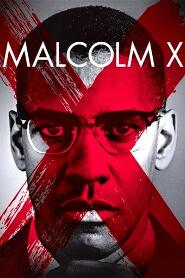 Assistir Malcolm X online