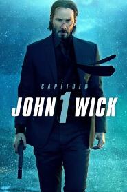 Assistir John Wick: De Volta ao Jogo online