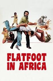 Assistir Piedone l'africano online