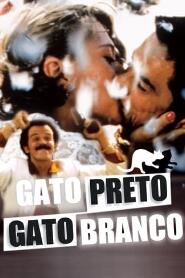 Assistir Gata Preta, Gato Branco online