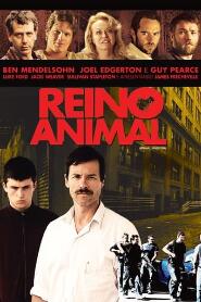 Assistir Reino Animal online