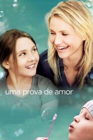 Assistir Uma Prova de Amor online