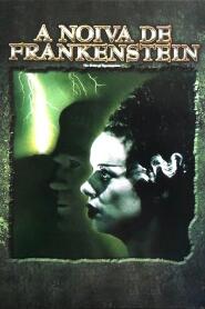 Assistir A Noiva de Frankenstein online