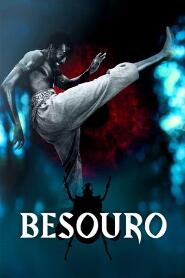 Assistir Besouro online