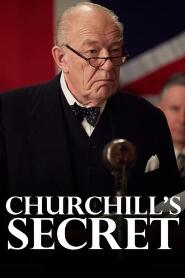 Assistir Churchill's Secret online