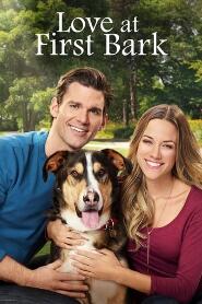 Assistir Love at First Bark online