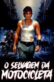 Assistir O Selvagem da Motocicleta online