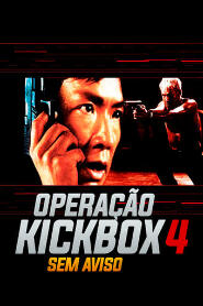 Assistir Operação Kickbox 4 - Sem Aviso online