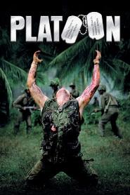 Assistir Platoon - Os Bravos do Pelotão online